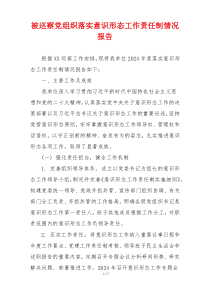 被巡察党组织落实意识形态工作责任制情况报告