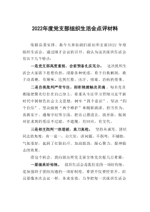 20XX年度党支部组织生活会点评材料