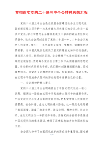 贯彻落实党的二十届三中全会精神思想汇报