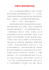 过硬党支部经验做法范例