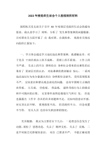 20XX年度组织生活会个人检视剖析材料2