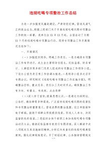 违规吃喝专项整治工作总结