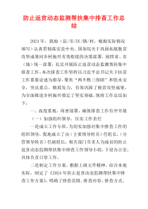 防止返贫动态监测帮扶集中排查工作总结