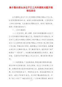 集中整治群众身边不正之风和腐败问题开展情况报告