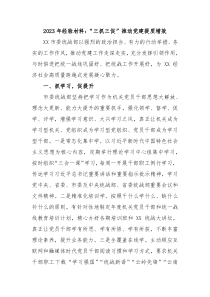 20XX年经验材料三抓三促推动党建提质增效