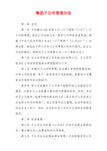 集团子公司管理办法