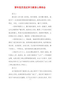 青年党员党纪学习教育心得体会