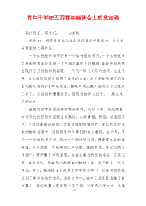 青年干部在五四青年座谈会上的发言稿