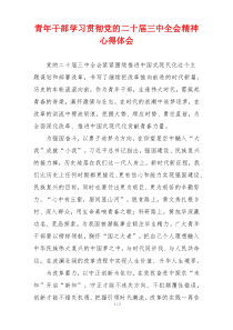 青年干部学习贯彻党的二十届三中全会精神心得体会