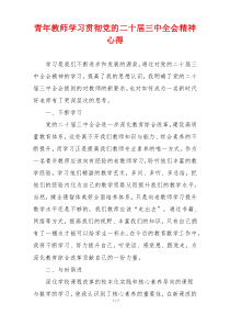 青年教师学习贯彻党的二十届三中全会精神心得