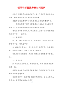 领导干部提拔考察材料范例