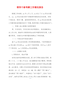 领导干部考察工作情况报告