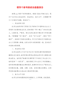 领导干部考核政治画像报告