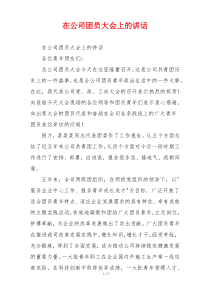 在公司团员大会上的讲话