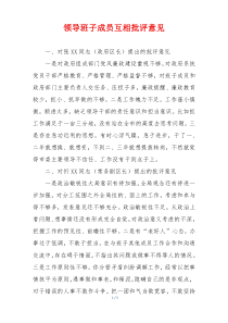 领导班子成员互相批评意见