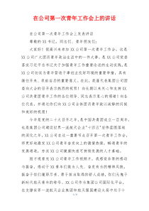 在公司第一次青年工作会上的讲话