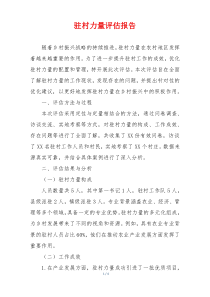 驻村力量评估报告