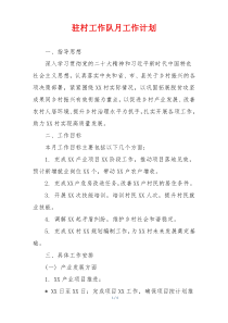 驻村工作队月工作计划