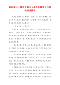 驻村帮扶大排查大整改大提升阶段性工作开展情况报告