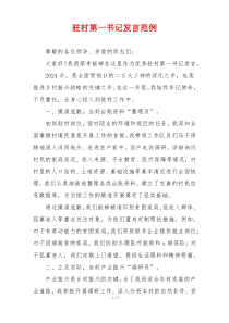 驻村第一书记发言范例