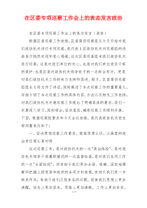 在区委专项巡察工作会上的表态发言政协