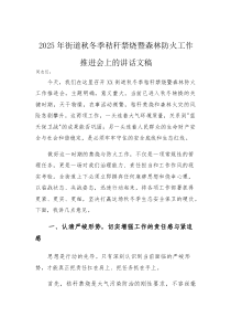 (资料)2025年街道秋冬季秸秆禁烧暨森林防火工作推进会上的讲话文稿