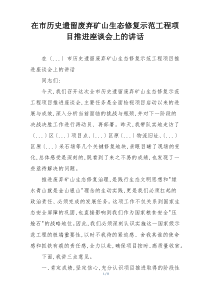 在市历史遗留废弃矿山生态修复示范工程项目推进座谈会上的讲话