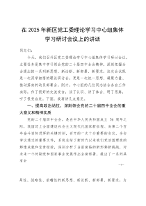 (资料)在2025年新区党工委理论学习中心组集体学习研讨会议上的讲话