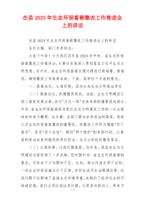 在县2025年生态环保督察整改工作推进会上的讲话