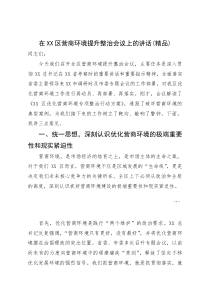 (资料)在XX区营商环境提升整治会议上的讲话