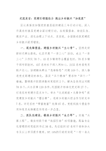 交流发言党建引领强动力跑出乡村振兴加速度