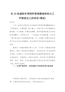 (资料)在XX街道秋冬季秸秆禁烧暨森林防火工作推进会上的讲话