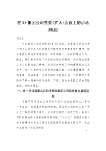 (资料)在XX集团公司党委(扩大)会议上的讲话