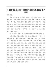 (资料)村支部书记在全市“十四五“规划代表座谈会上的发言