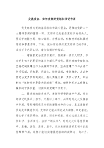 交流发言如何发挥好党组织书记作用