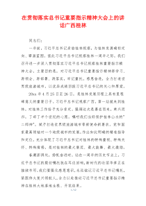 在贯彻落实总书记重要指示精神大会上的讲话广西桂林