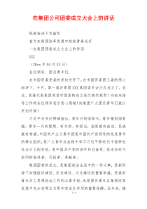 在集团公司团委成立大会上的讲话