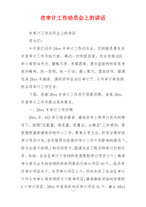 在审计工作动员会上的讲话