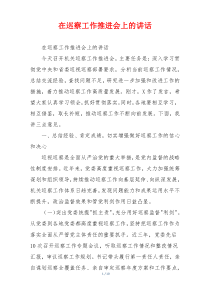 在巡察工作推进会上的讲话