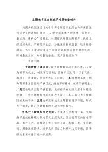 主题教育党支部班子对照检查材料