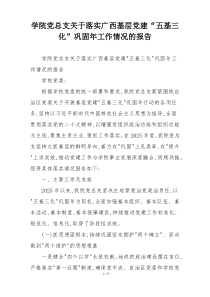 学院党总支关于落实广西基层党建“五基三化”巩固年工作情况的报告