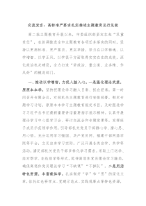 交流发言高标准严要求扎实推进主题教育见行见效