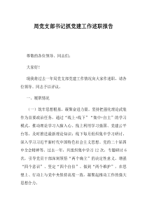 局党支部书记抓党建工作述职报告(优选)