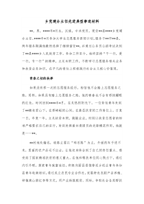 乡党建办主任先进典型事迹材料