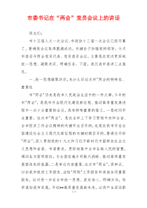 市委书记在“两会”党员会议上的讲话