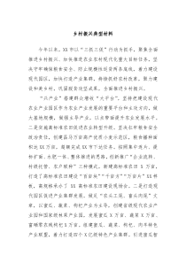 乡村振兴典型材料