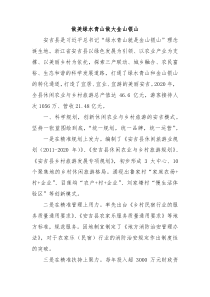 乡村振兴经验材料做美绿水青山做大金山银山