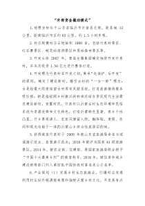 乡村振兴经验材料外部资金撬动模式