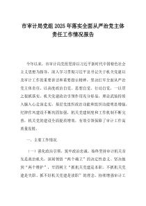 市审计局党组2025年落实全面从严治党主体责任工作情况报告(优选)