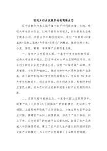 乡村振兴经验材料引返乡创业发展农村电商新业态